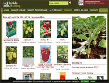 Tablet Screenshot of fdh.ro
